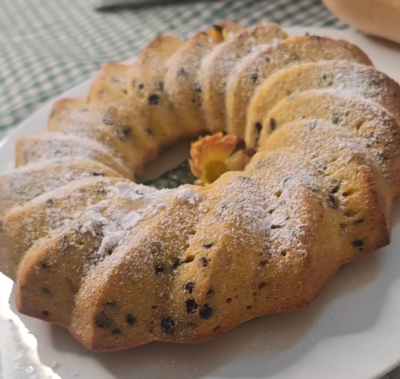 Kürbiskuchen mit Schokolade