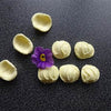 Orecchiette 500 g Hartweizengrießnudeln