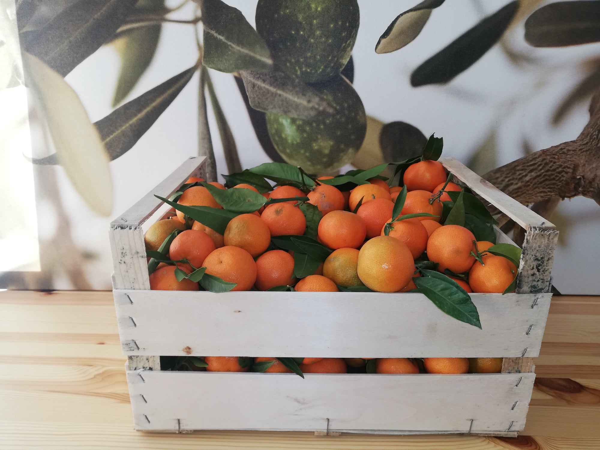 Clementine italiane 10 kg