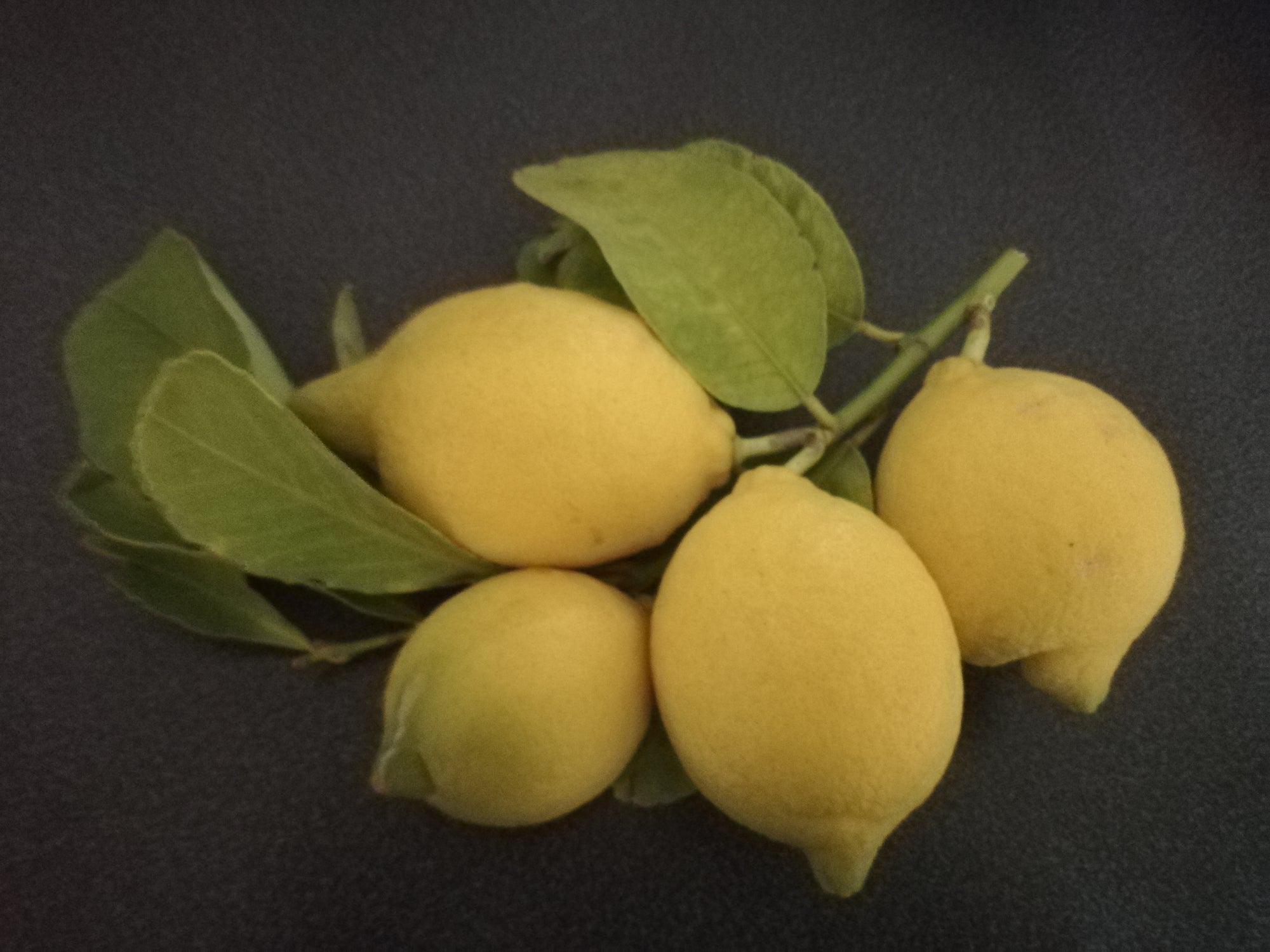 Limoni italiani 3 kg